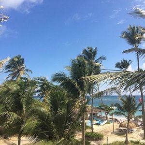 Meet your Posher, Ava